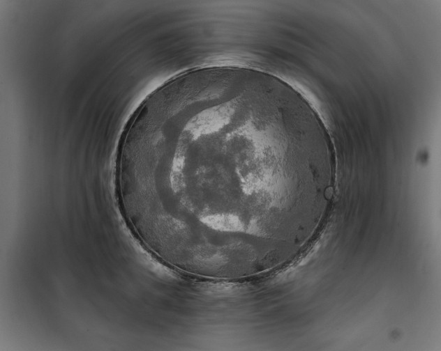 X0000100470949200806201603