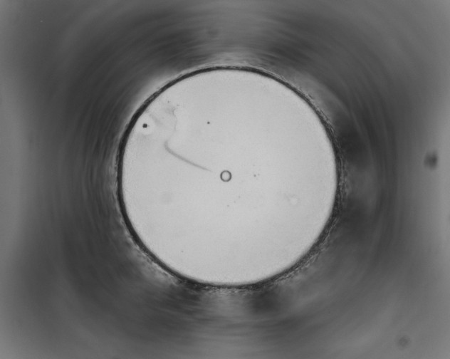 X0000100470950200806201603