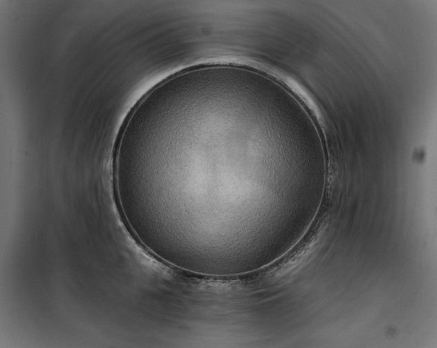 X0000100470951200806201603