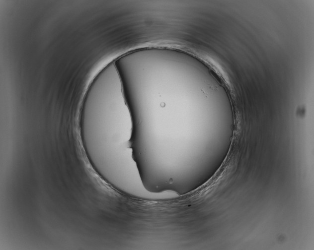 X0000100470952200806201603