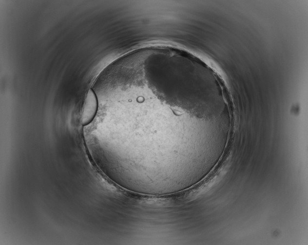 X0000100470953200806201603