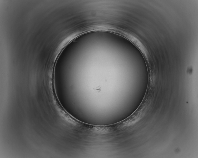 X0000100470954200806201604