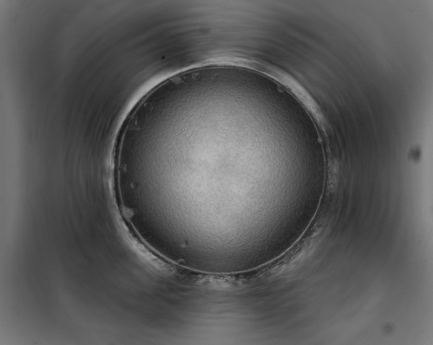 X0000100470955200806201604