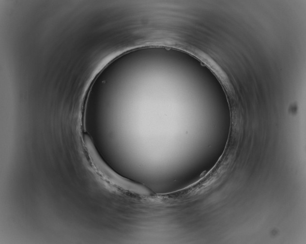 X0000100470956200806201604