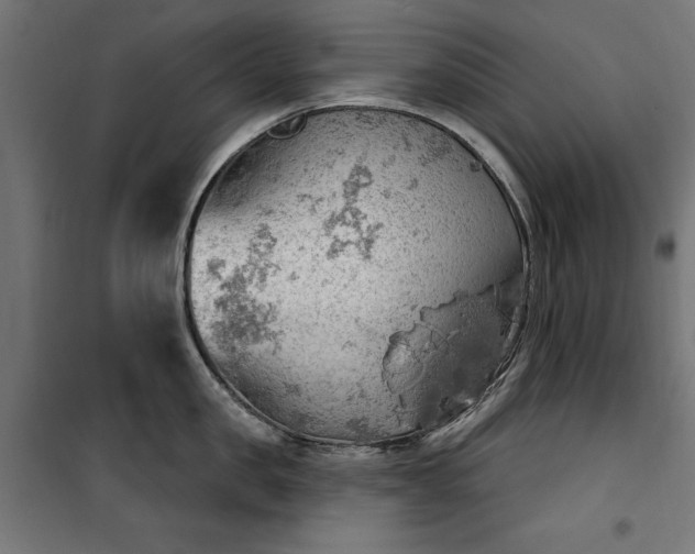 X0000100470957200806201604