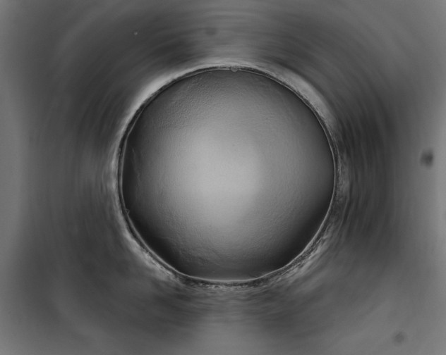 X0000100470958200806201604