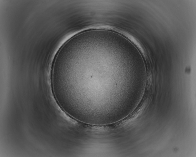 X0000100470959200806201604