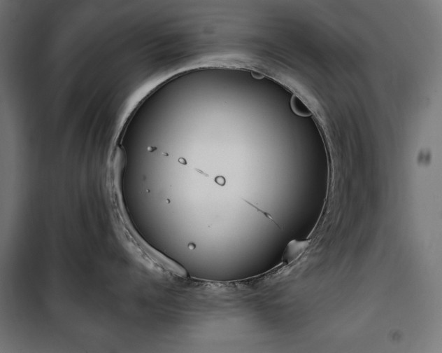 X0000100470960200806201604