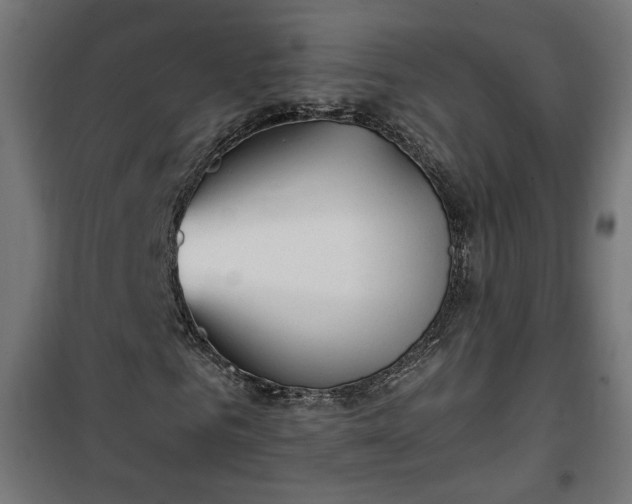 X0000100470961200806201603