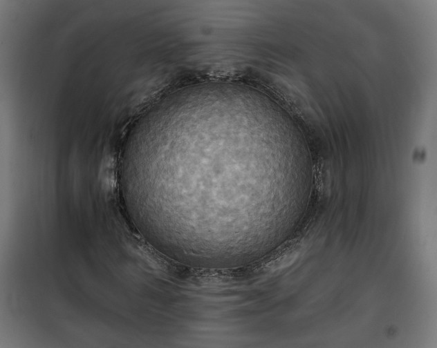 X0000100470962200806201603