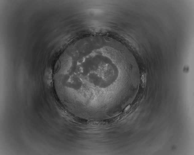 X0000100470963200806201603