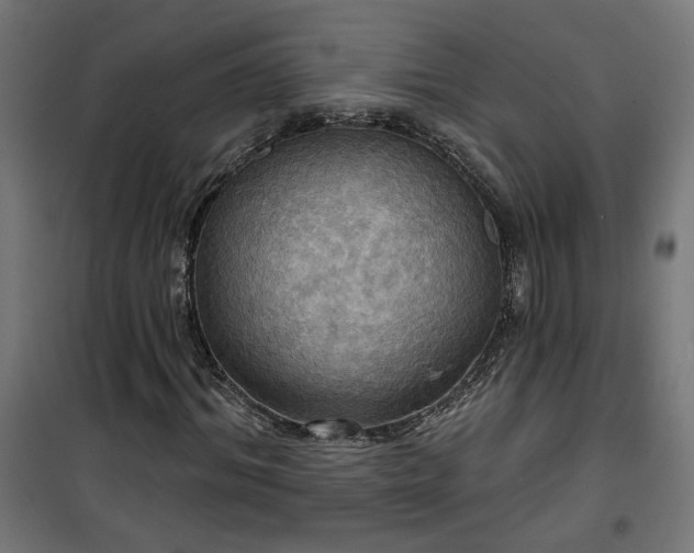 X0000100470964200806201603