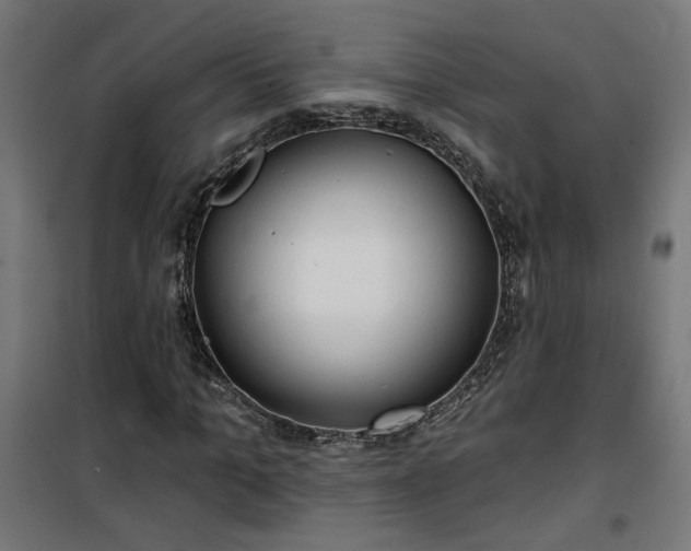 X0000100470965200806201603