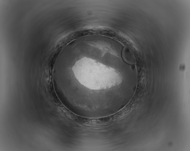 X0000100470966200806201603