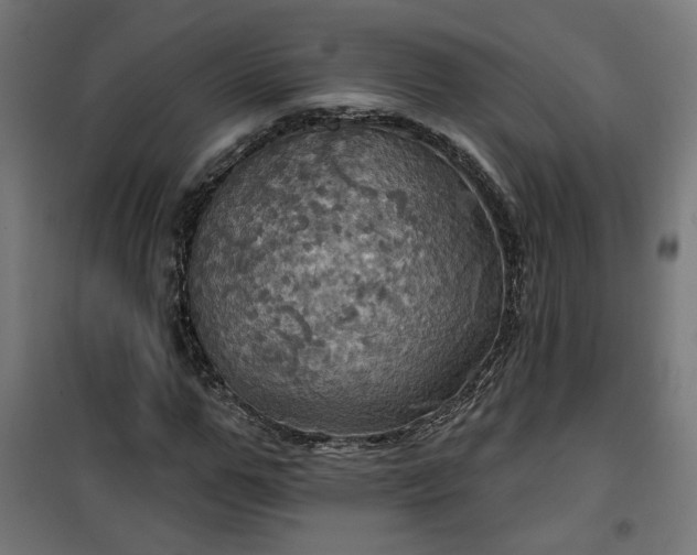 X0000100470967200806201603