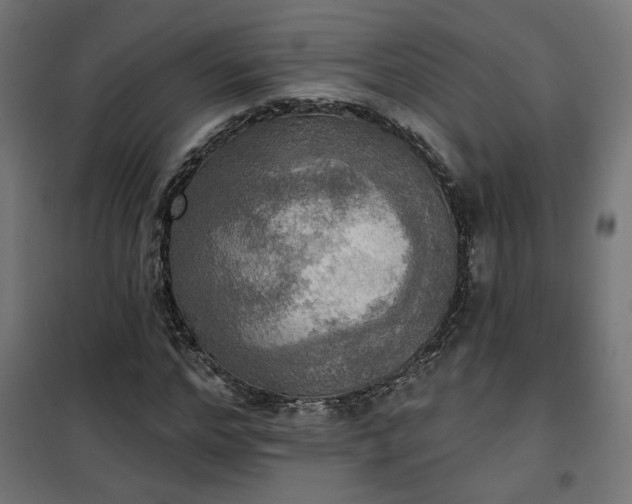 X0000100470968200806201603