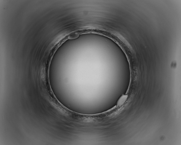 X0000100470969200806201603