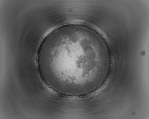 X0000100470970200806201603