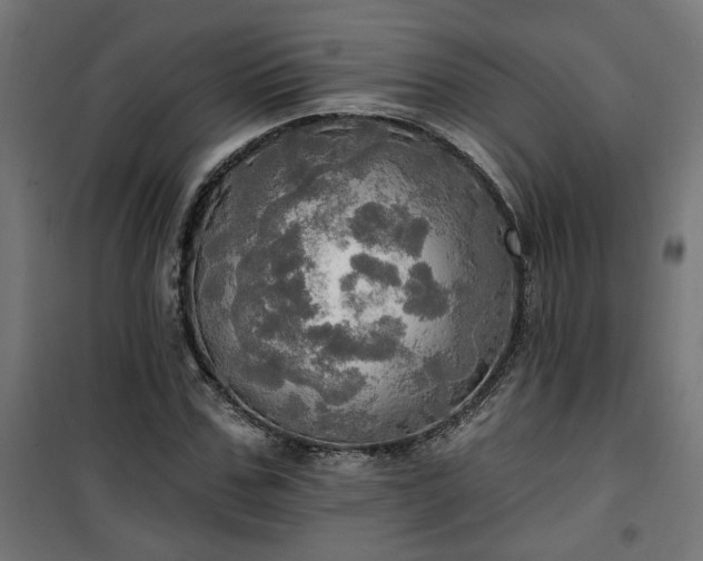 X0000100470971200806201603