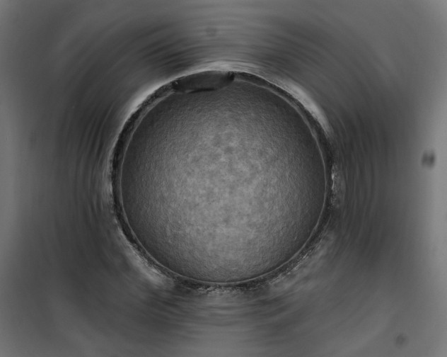 X0000100470972200806201603