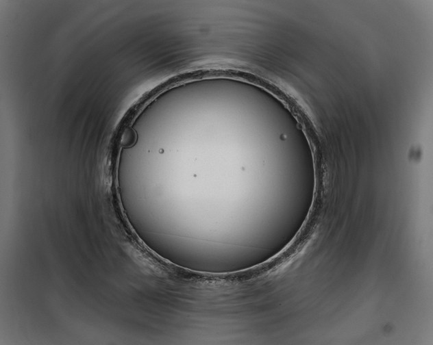 X0000100470973200806201603