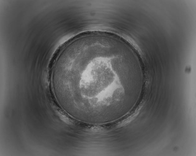 X0000100470974200806201603