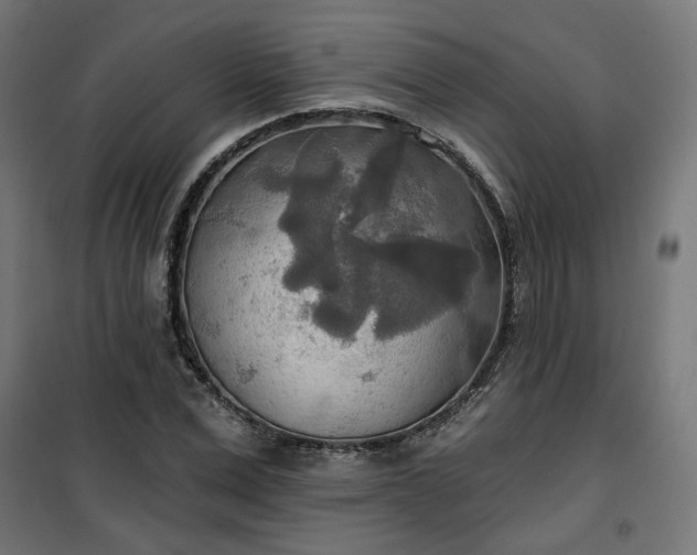 X0000100470975200806201603