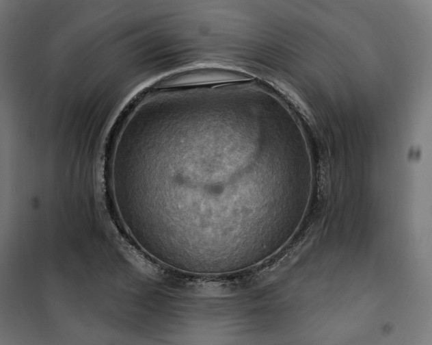 X0000100470976200806201603