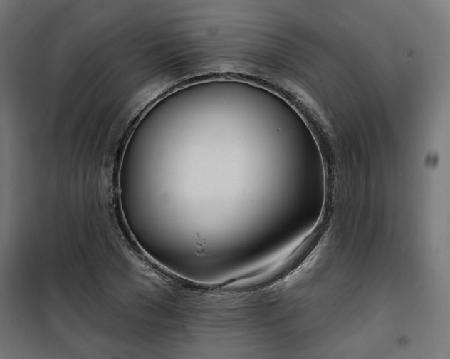 X0000100470977200806201603