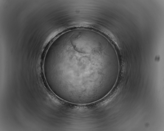 X0000100470978200806201603