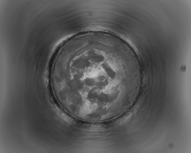 X0000100470979200806201603