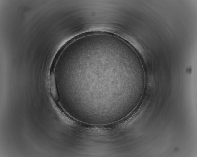 X0000100470980200806201603