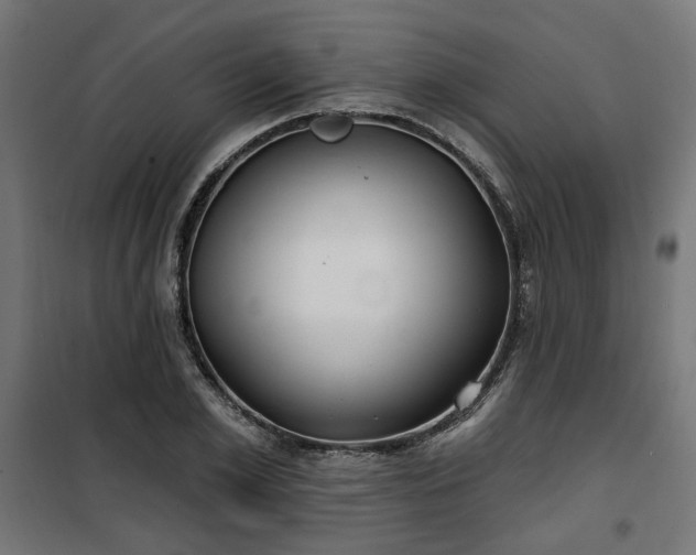 X0000100470981200806201603