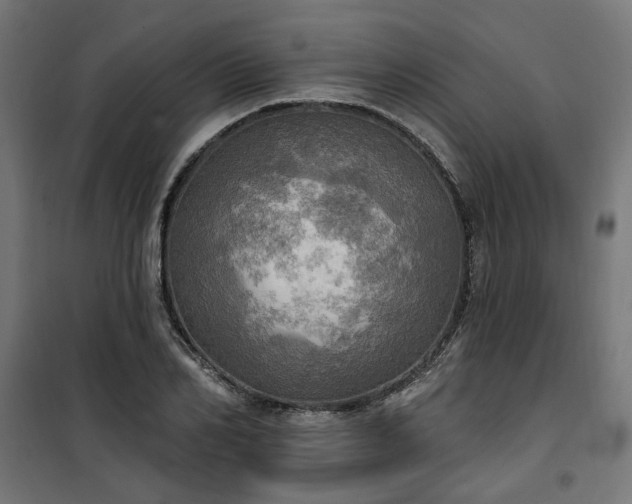 X0000100470982200806201603