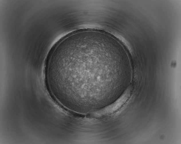 X0000100470983200806201603