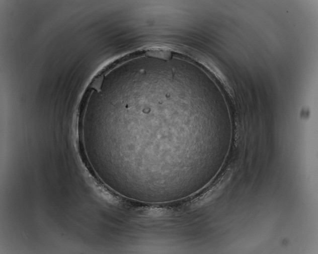 X0000100470984200806201603