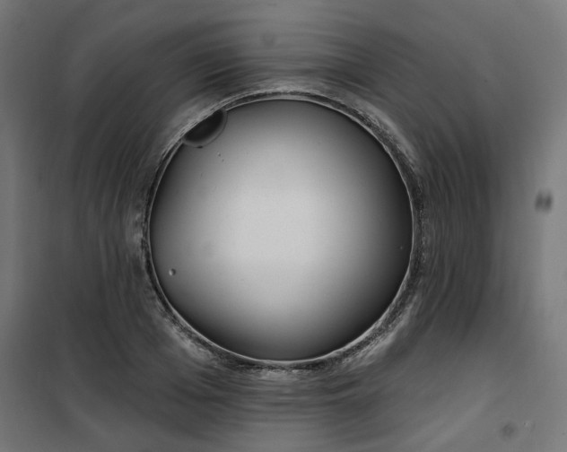 X0000100470985200806201603