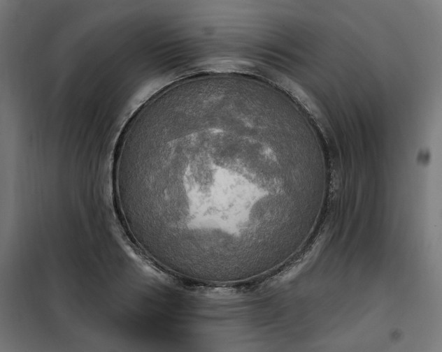 X0000100470986200806201603