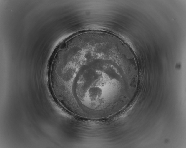 X0000100470987200806201603