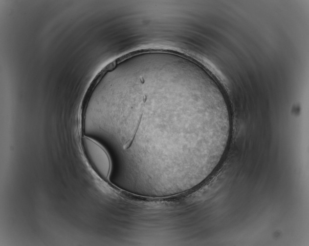 X0000100470988200806201602