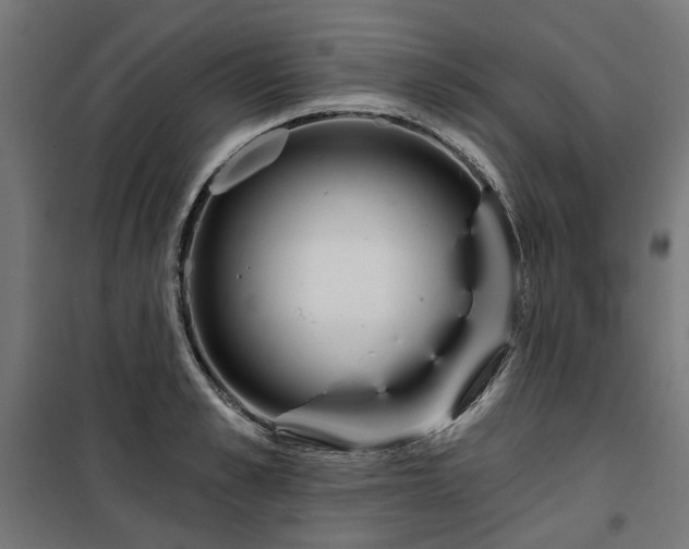 X0000100470989200806201602