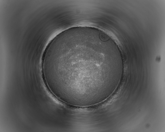 X0000100470990200806201602