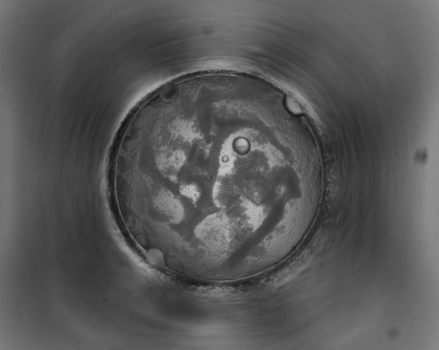 X0000100470991200806201602