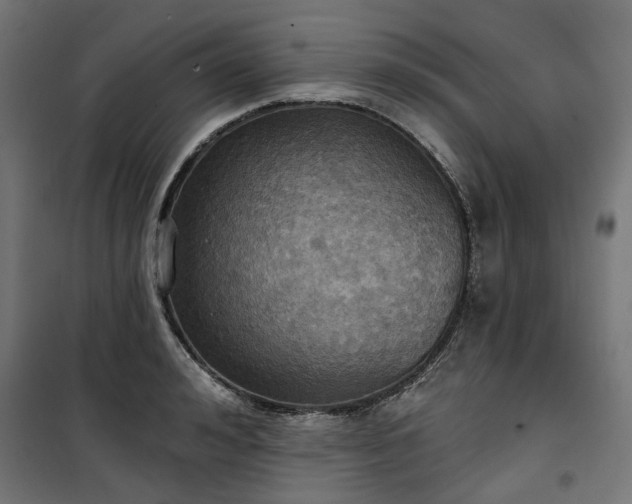 X0000100470992200806201602