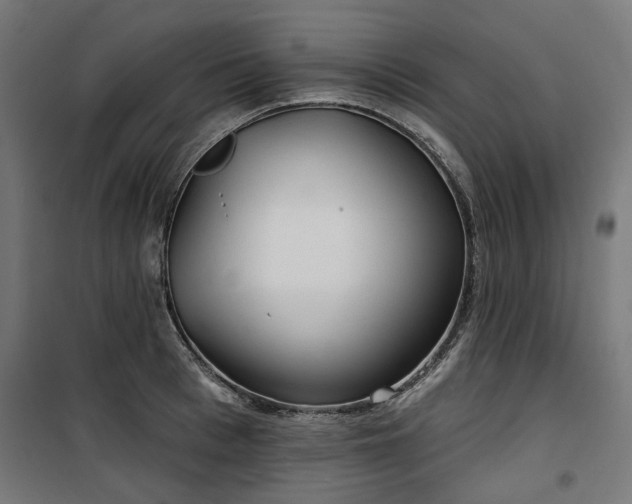 X0000100470993200806201602