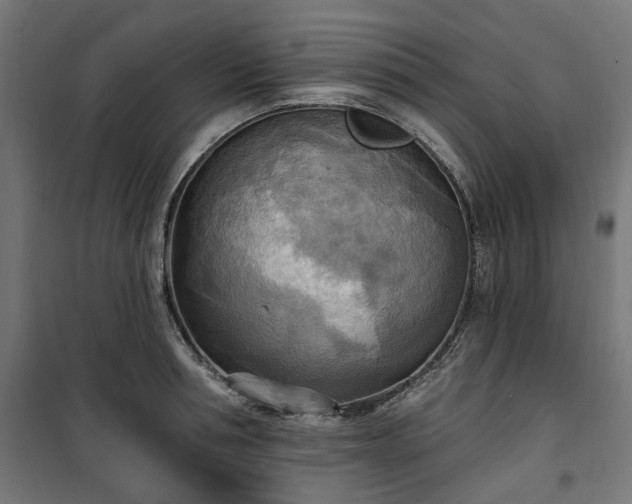 X0000100470994200806201602