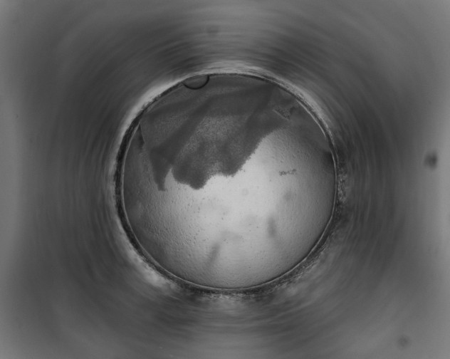 X0000100470995200806201602