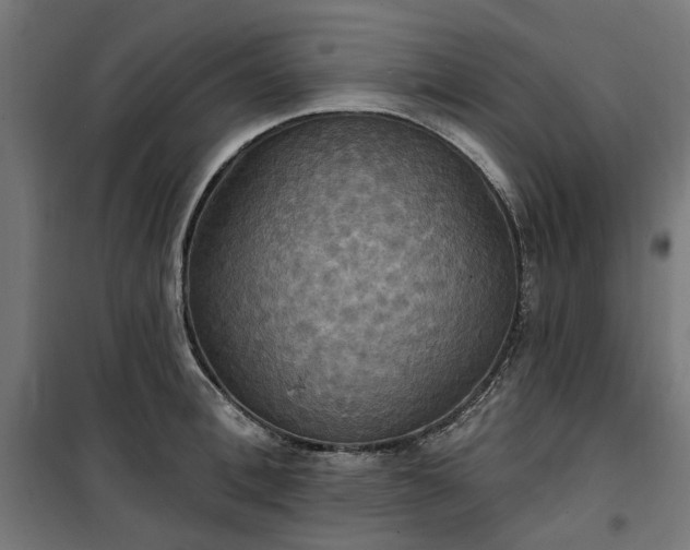 X0000100470996200806201602