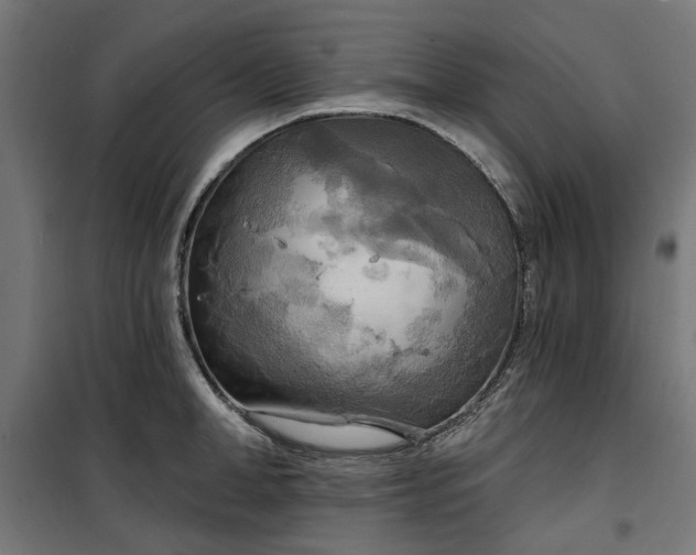 X0000100470998200806201602