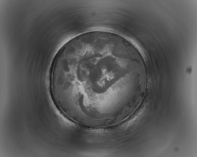 X0000100470999200806201602